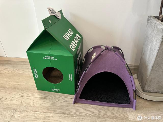 养猫避坑指南,干货助你轻松养好哈基米