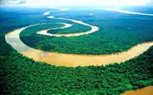 女主播泥鳅下体(别在亚马逊的河里尿尿，当心魔鬼鱼钻入你的尿道，吸食你的血液)