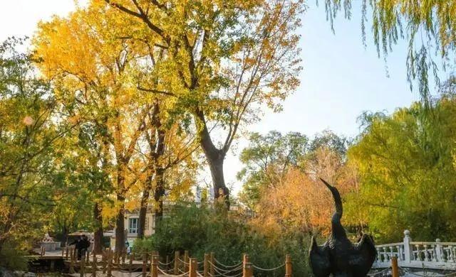 萌兰新家曝光！喜提“豪华套房”