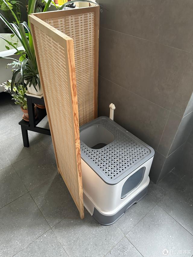 养猫避坑指南,干货助你轻松养好哈基米