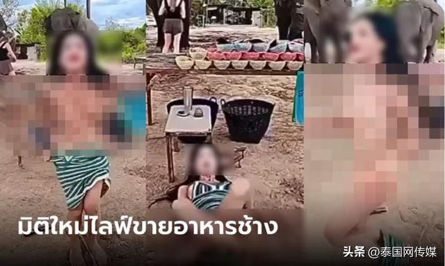 带货卖嗨了？泰国变性人直播间大秀下体、裸奔惹众议！