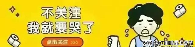 盼盼撞脸歌手梁静茹?网友:太像了,尤其笑脸!