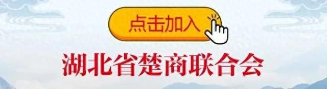 「会员风采」常务理事单位:武汉幻核裂变信息科技有限公司