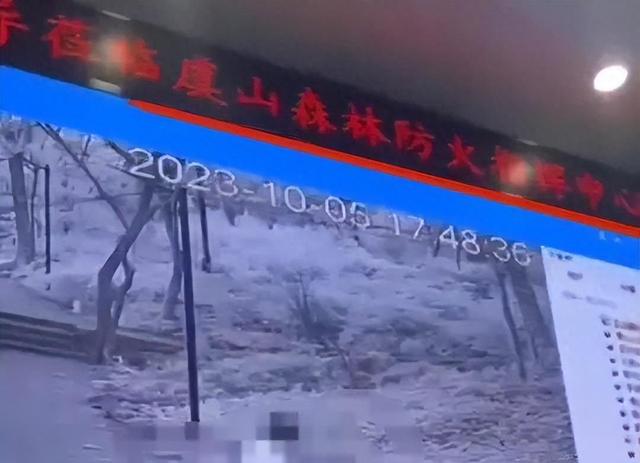 还有比这更劲爆的吗？一对男女森林中野战，却被指挥中心直播调侃