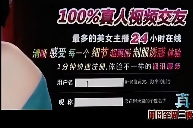 色情网站“丁香”覆灭记：7.3亿的浏览量背后，是谁在操控盈利？