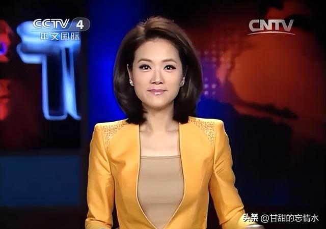 央视中文国际频道十大新闻美女主播,谁实力最强?