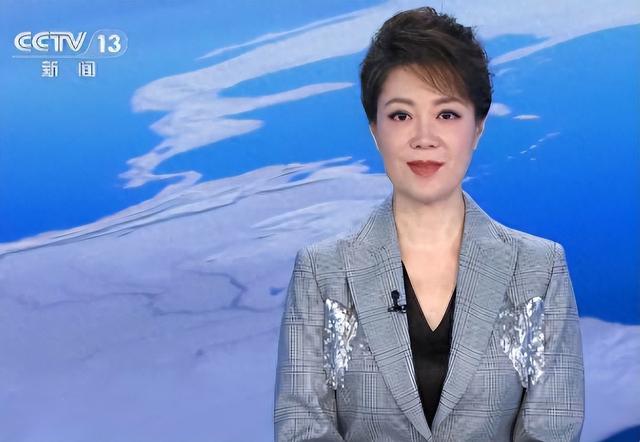 央视主持李文静,和丈夫坚持丁克,如今50岁无儿无女,她后悔了?