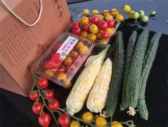 1个半小时，成交1009单！还有很多网友联系客服想去采摘游！错过这场直播，你还可以下单