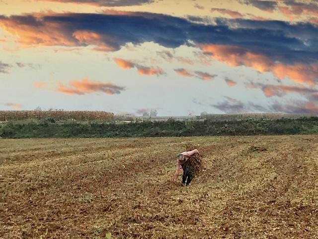 90后大学生返乡养蚯蚓,年入百万!村民直呼:比黄金还值钱!