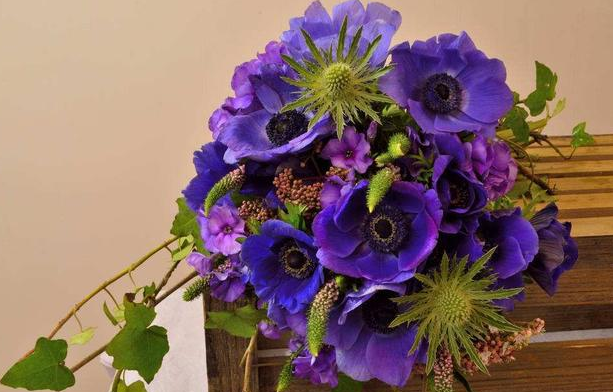 夏季室外光线强,就在庭院盆栽它们,花开艳丽、观赏价值很高