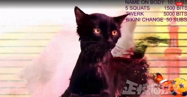 官方看不下去了!外国女主播泡澡直播打游戏,让人仿佛进错网站