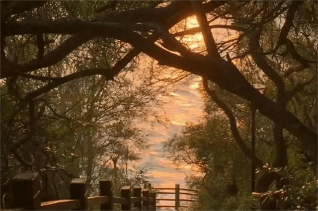 17岁小伙亲吻33岁女子，女子苦苦哀求，你太小我不吃亏别这样做