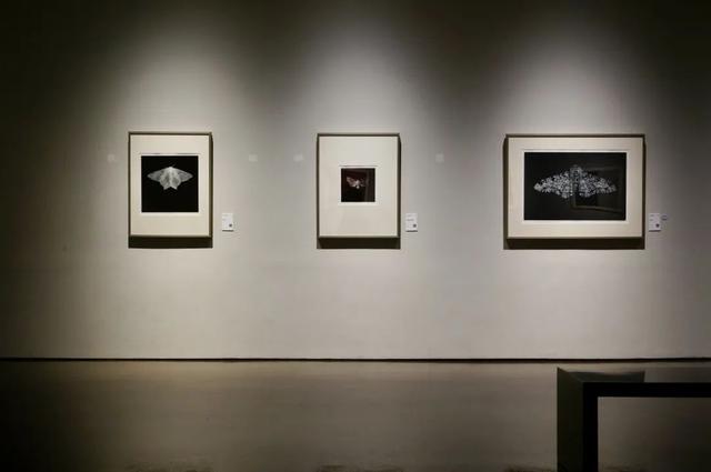 “美柔汀”是什么“汀”？