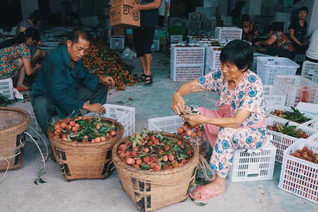 回老家做主播穿汉服卖水果,96年美少女成为“全村的希望”