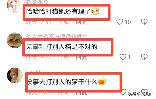 女子莫名踢别人的猫,被路人追问倒地撒泼称有心脏病。网友吵翻天