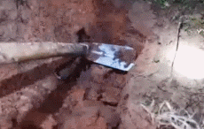 2019年,他直播挑逗银环蛇被咬送ICU,生命垂危为什么没人同情?