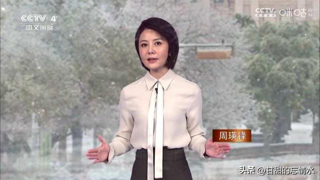 央视中文国际频道十大新闻美女主播,谁实力最强?