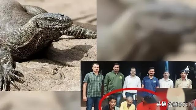 毁三观!韩国女主播到印度旅游被男子尾随露私处,评论区相当炸裂