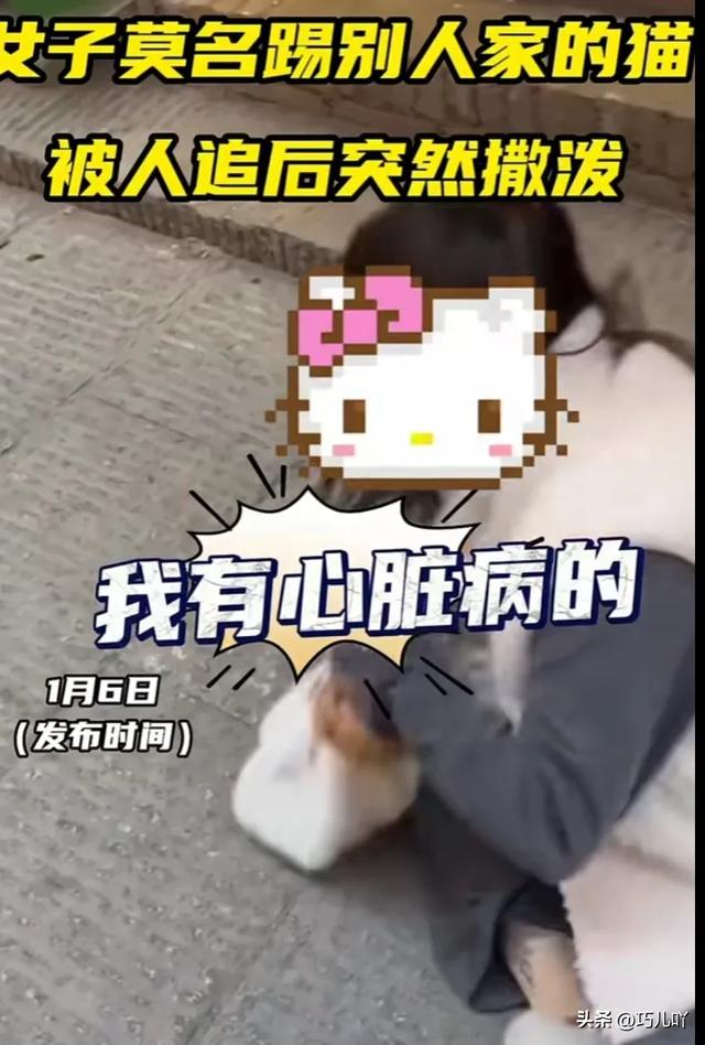 女子莫名踢别人的猫,被路人追问倒地撒泼称有心脏病。网友吵翻天