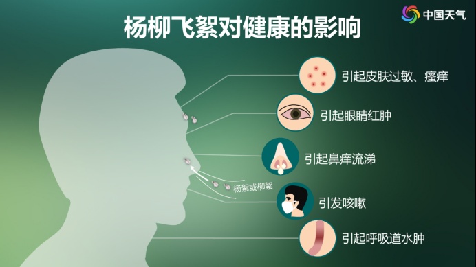高敏预警！“过敏星人”噩梦又来了，持续一个多月
