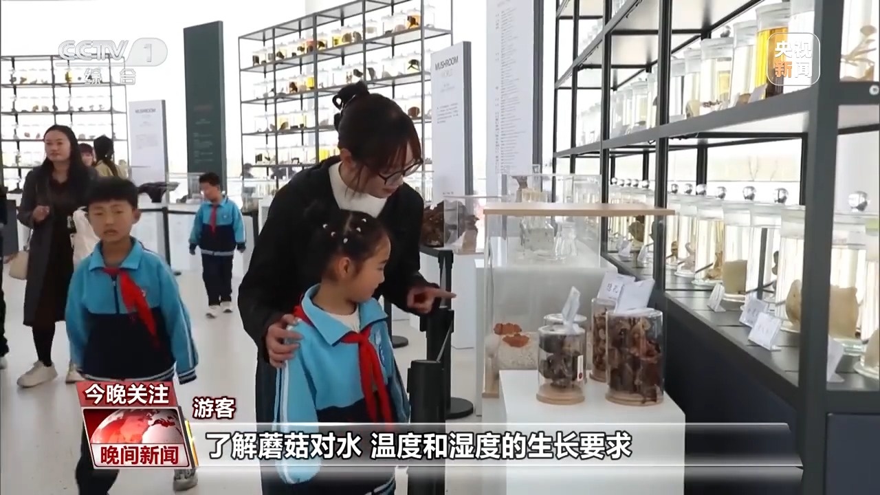 悬崖上的咖啡馆、蘑菇尝鲜游……清明假期这些玩法很有趣