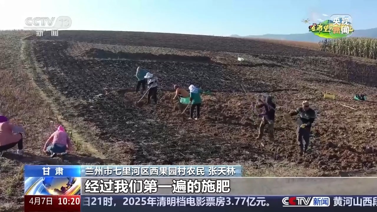 让麦田喝上“聪明水”、百合种植新技术……清明时节农事忙