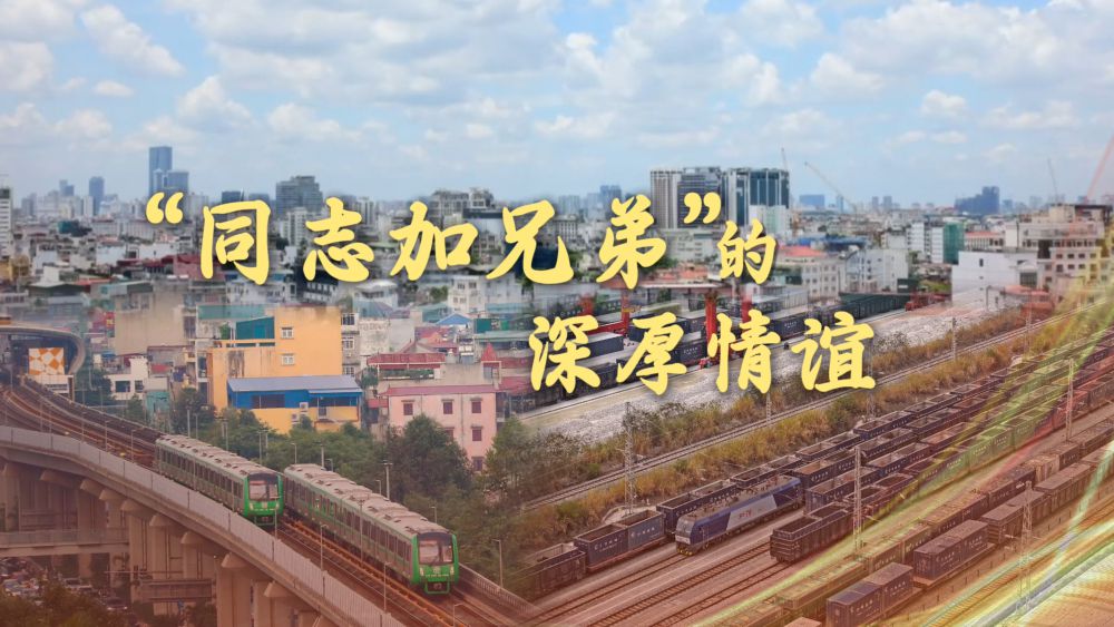 微视频丨“同志加兄弟”的深厚情谊