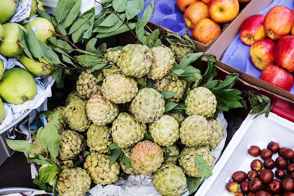 跟着习主席看世界丨这个“早相见、晚相望”的兄弟国，还有多少你不知道的亮点-