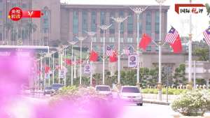 国际锐评丨“切水不断”，中马新的“黄金50年”更加美好