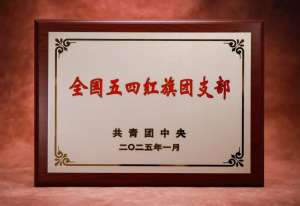 恺英网络团支部荣获“全国五四红旗团支部”称号
