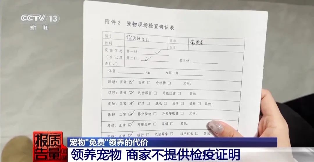 “免费送猫”背后的天价陷阱