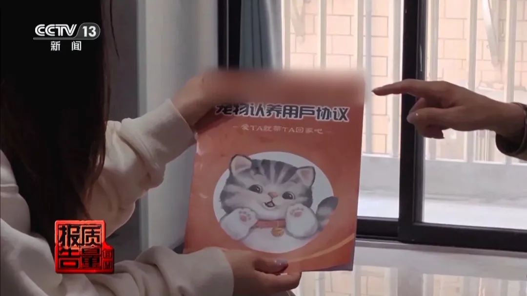 “免费送猫”背后的天价陷阱