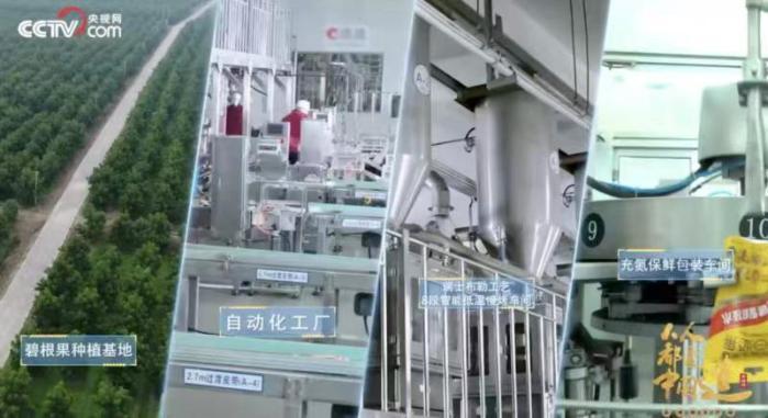 收入首次突破70亿，洽洽食品以“品质+创新”跨越新周期