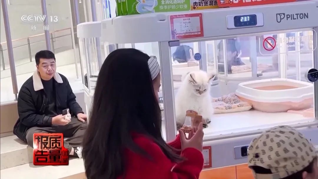 “免费送猫”背后的天价陷阱