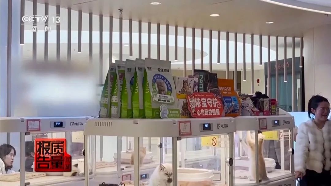 “免费送猫”背后的天价陷阱