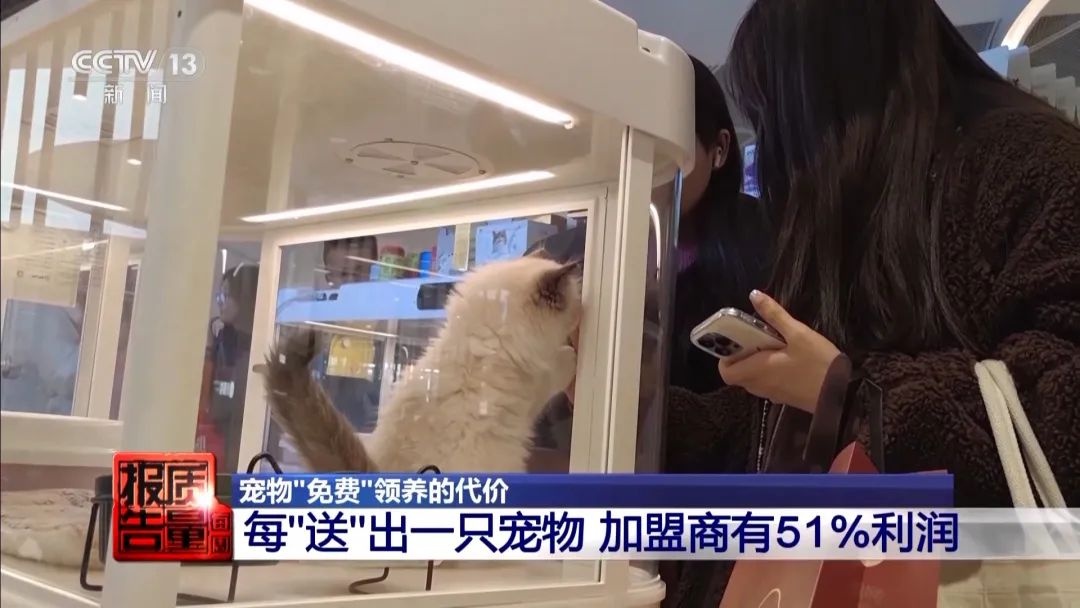 “免费送猫”背后的天价陷阱