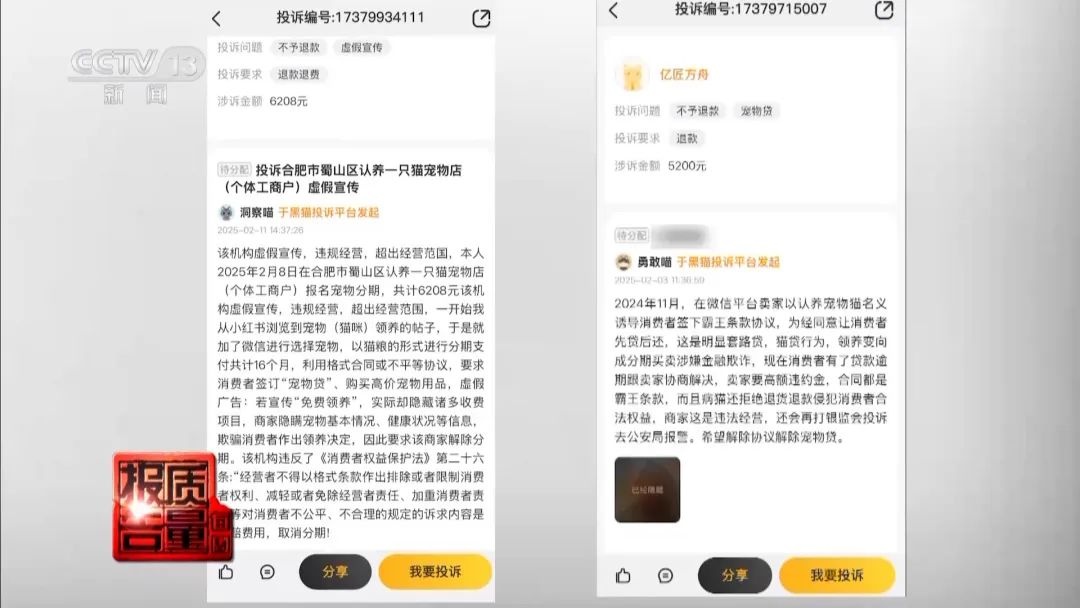 “免费送猫”背后的天价陷阱