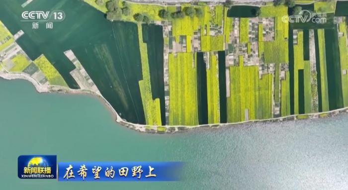 【在希望的田野上】全国春播进展顺利 夏油丰收在望