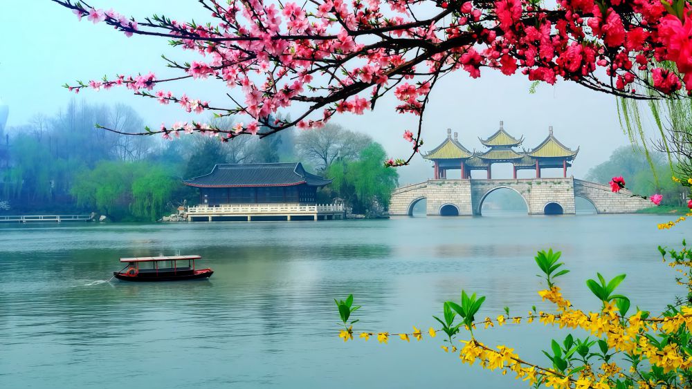 微视频|出圈出海出彩!看中华文化魅力