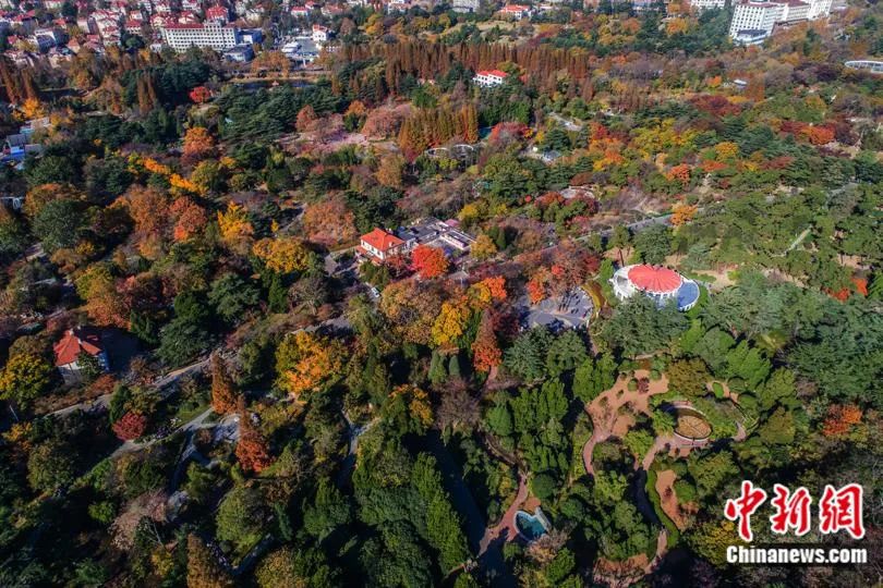 人这一辈子，一定要去一趟“电影中的青岛”！