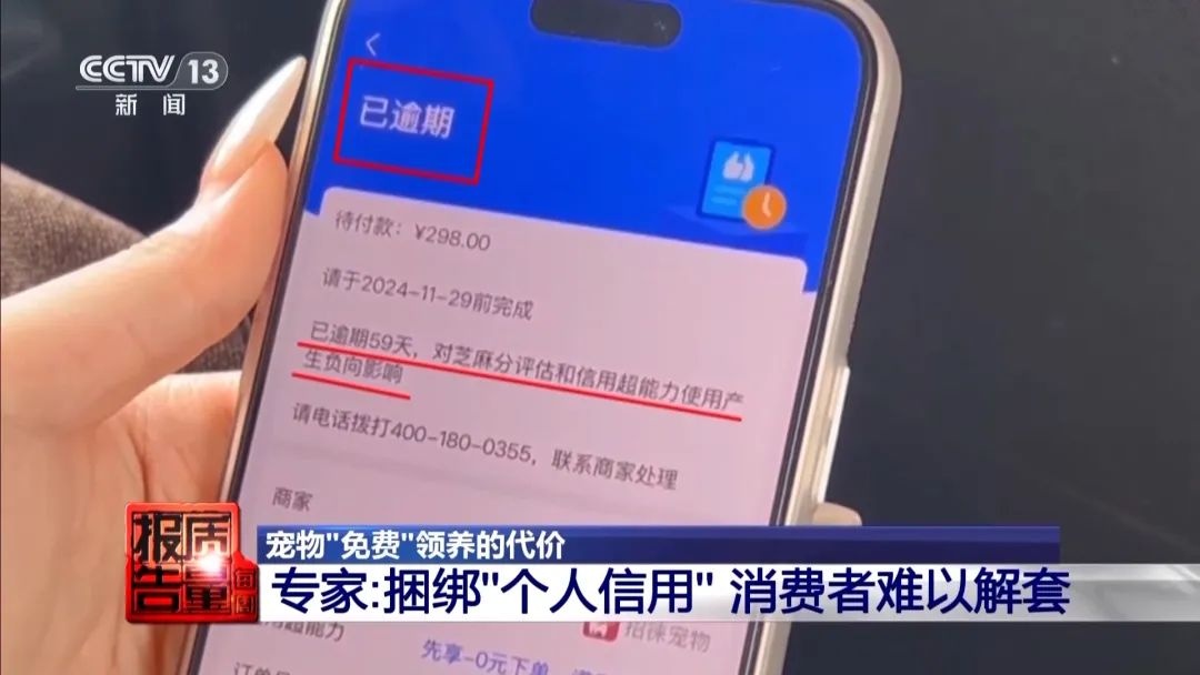 “免费送猫”背后的天价陷阱