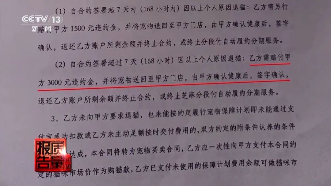 “免费送猫”背后的天价陷阱