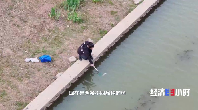 低空经济爆发!这些“会飞”的工作正吃香→