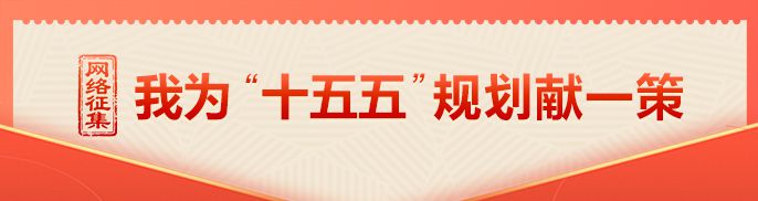 “十五五”规划编制工作开展网络征求意见活动