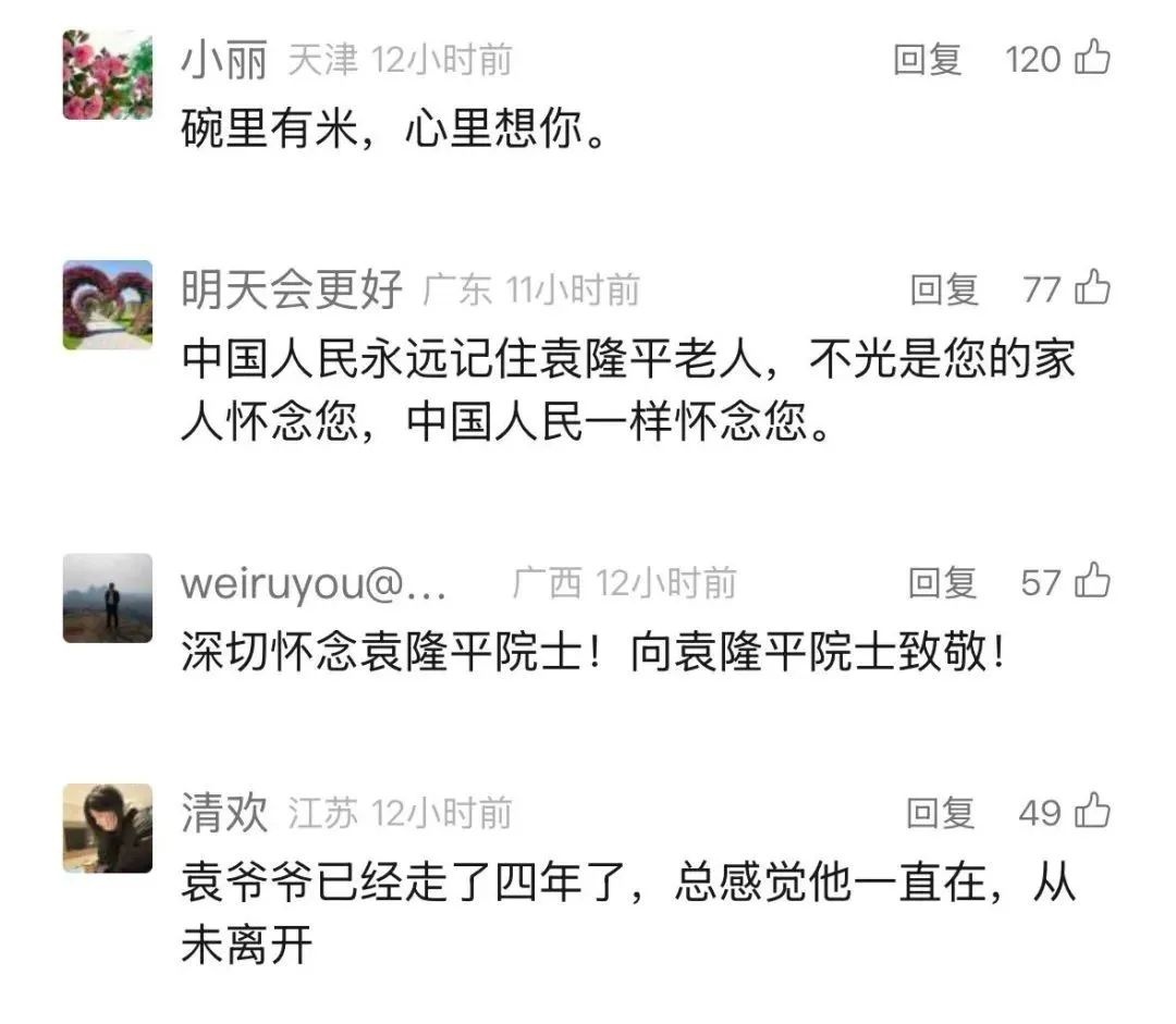 袁隆平逝世4周年，家人在墓前种下22株向日葵