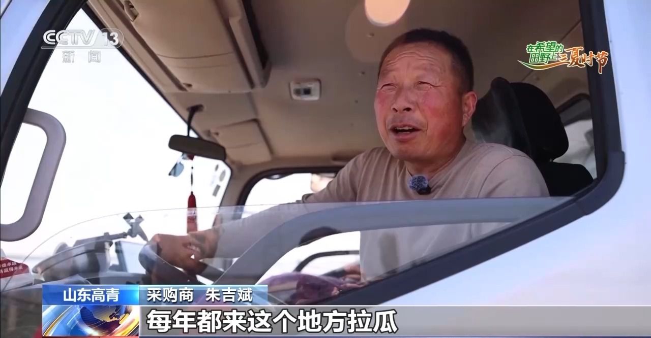 三夏时节迎丰收 小麦、稻虾、西瓜解锁农田增收“密码”