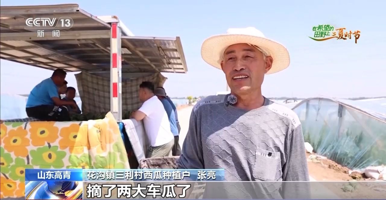 三夏时节迎丰收 小麦、稻虾、西瓜解锁农田增收“密码”