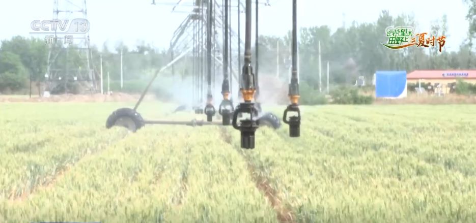 “科学防控+精准服务”各地积极应对旱情 保障高温天气农业生产