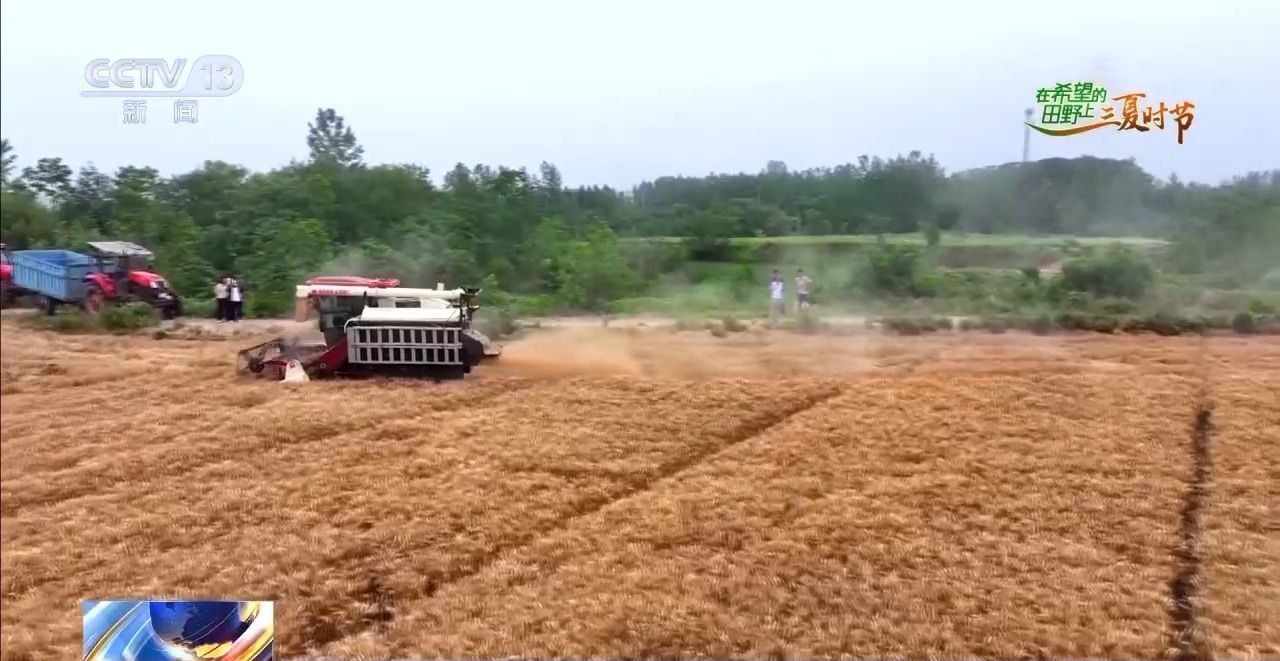 三夏时节迎丰收 小麦、稻虾、西瓜解锁农田增收“密码”
