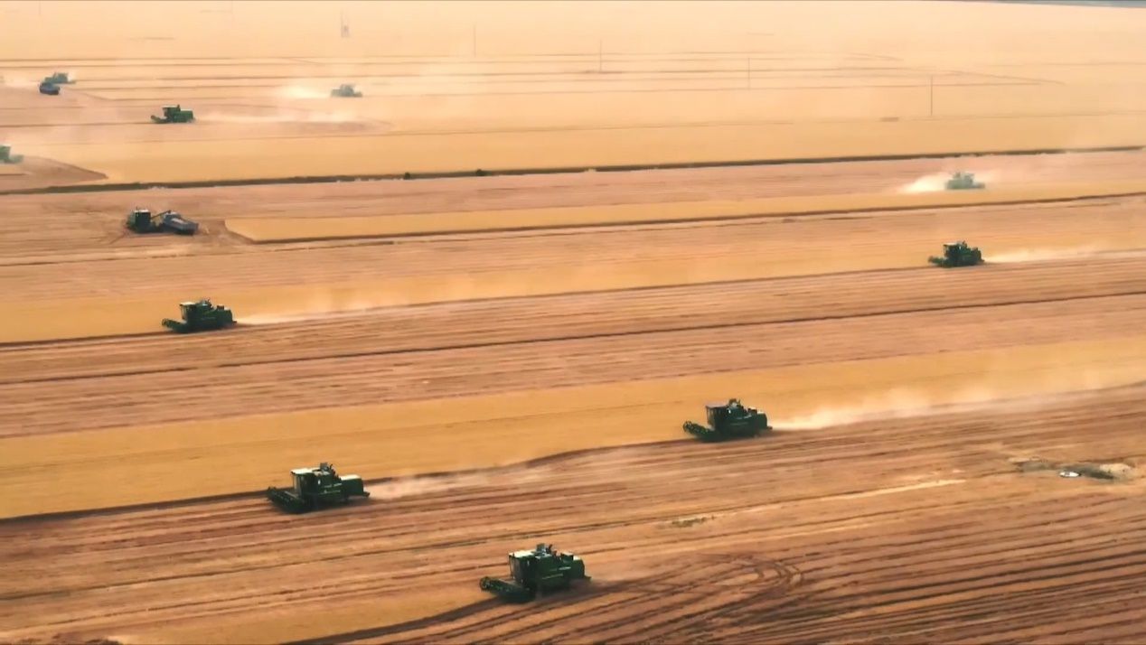 时政微视频丨瞰河南